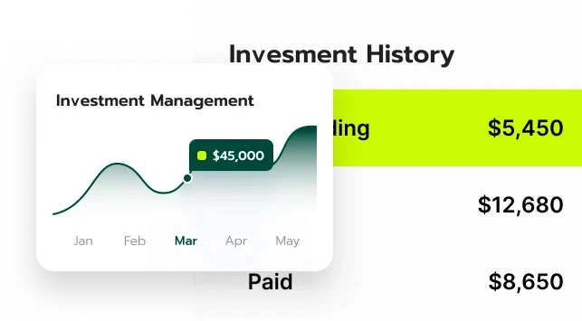 Dzoskaruma digital investment