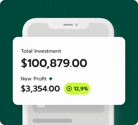 Dzoskaruma financial analysis